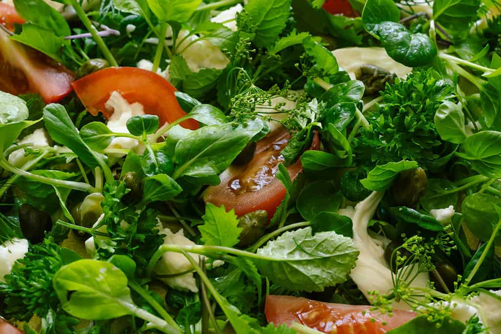 box lunch & salads
