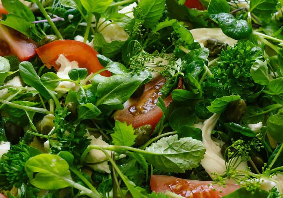 box lunch & salads